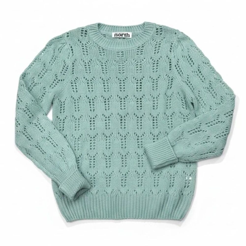 Mint Sheer Pointelle Knit Sweater